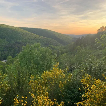 Bed & Breakfast Les Caravanes Du Maquis Lacaze